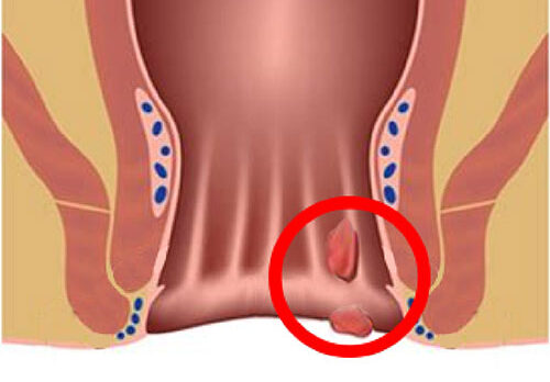 img-service01 img-service01