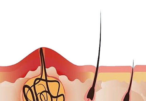 img-service02 img-service02