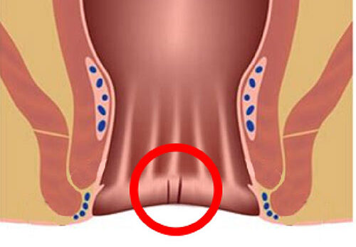 img-service04 img-service04