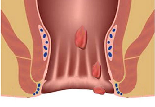 img-service07-01 img-service07-01