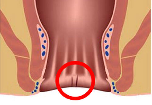 img-service08 img-service08